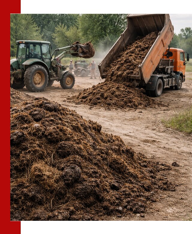 Доставка навоза самосвалами в Тихорецке для сельхозпотребностей