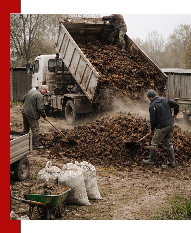 Доставка коровьего навоза самосвалом в Тихорецке